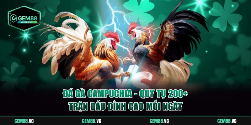 Đá gà Campuchia